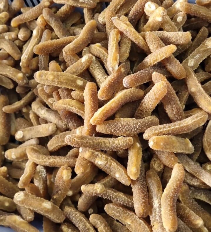 Dried sea cucumber disco