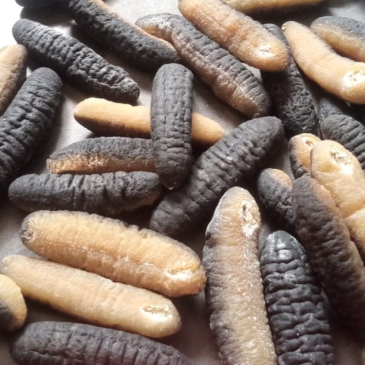 Dried sea cucumber sand fish