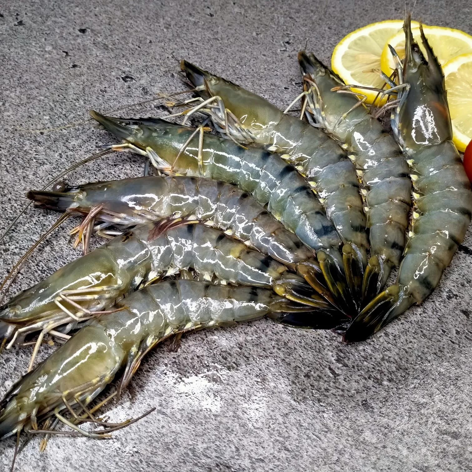 Fresh and frozen tiger prawn